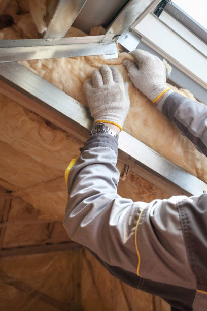 Best Insulation for New Construction  in Logansport, LA